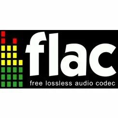 Flac 1000