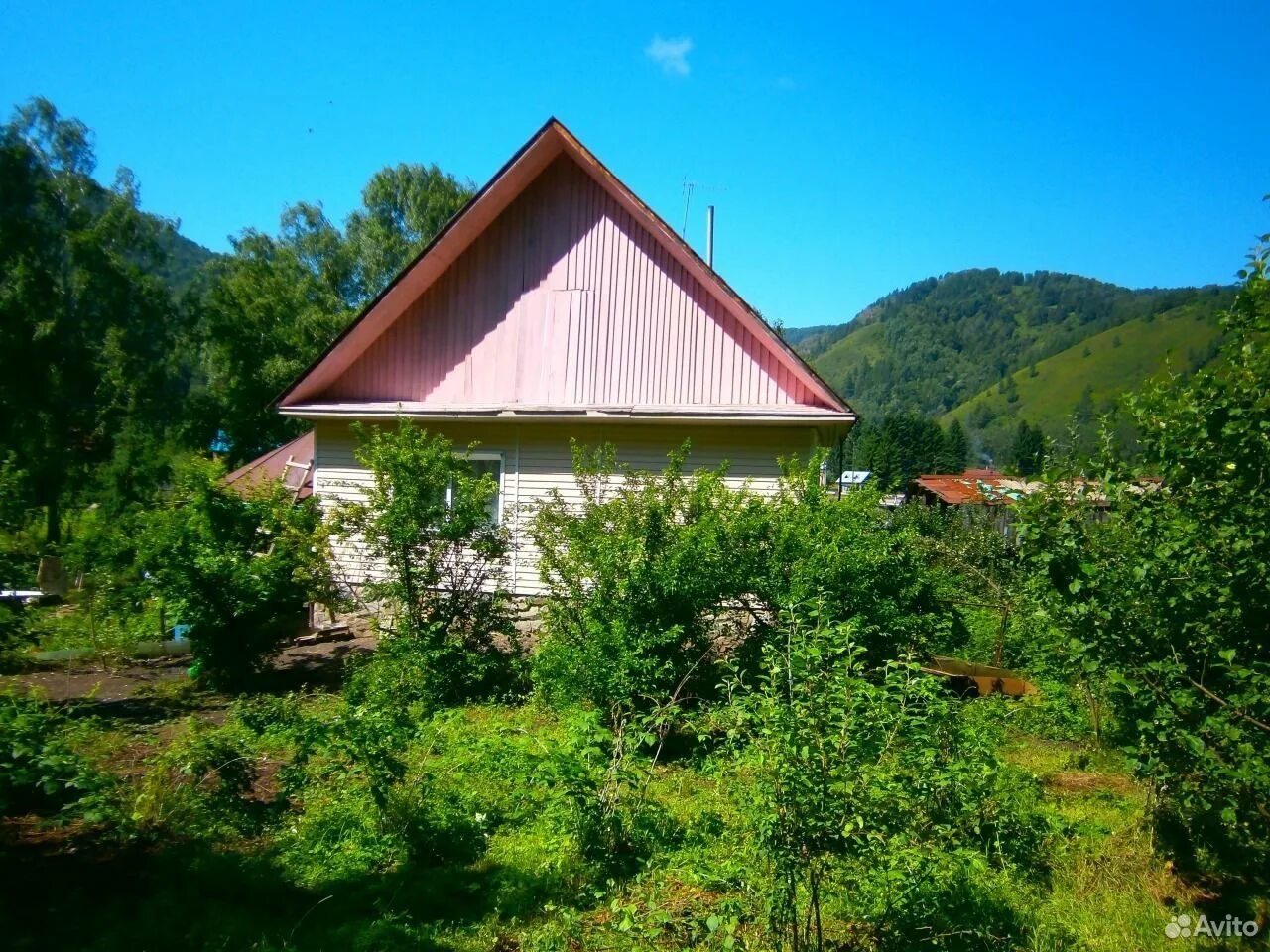 Алтайский. Лесное Алтайский край. Село Алтайское недвижимость. Продаваемые участки земли село Алтайское. Купить недвижимость в алтайском крае