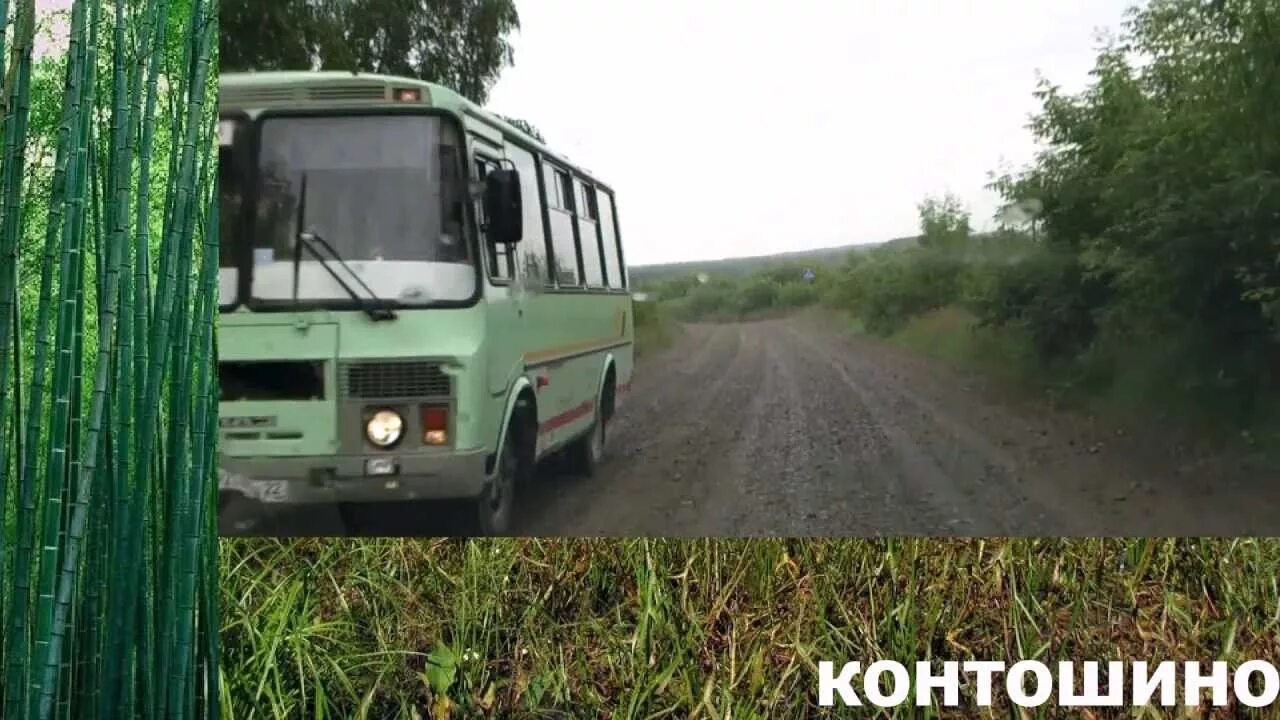 Село андроново алтайский край. Село контошино. С контошино косихинского алтайского края. Гисметео контошино алтайский. Село контошино.