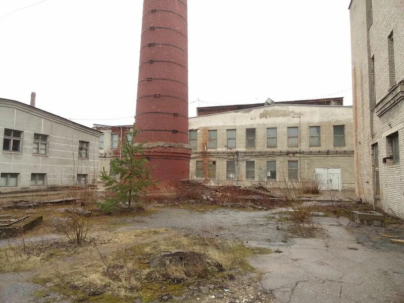 завод тэсо псков. завод плескава псков. псковский завод адс. фабрик псков. оао "электротехнический завод" зенча-псков ".