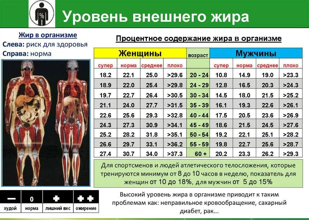 Нормальные показатели жира воды мышечной массы. Таблица процентного содержания жира в организме человека. Норма жиров в организме человека таблица.