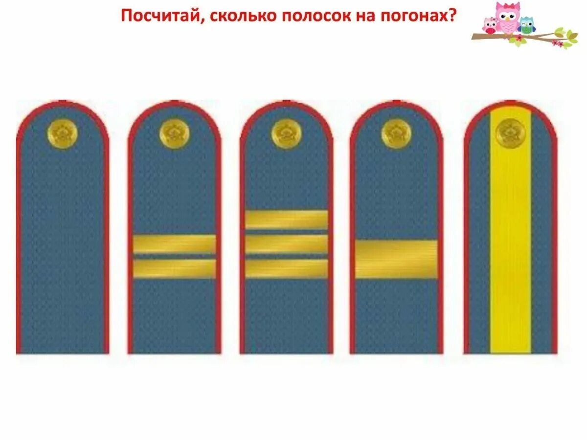 Сержант полоски на погонах