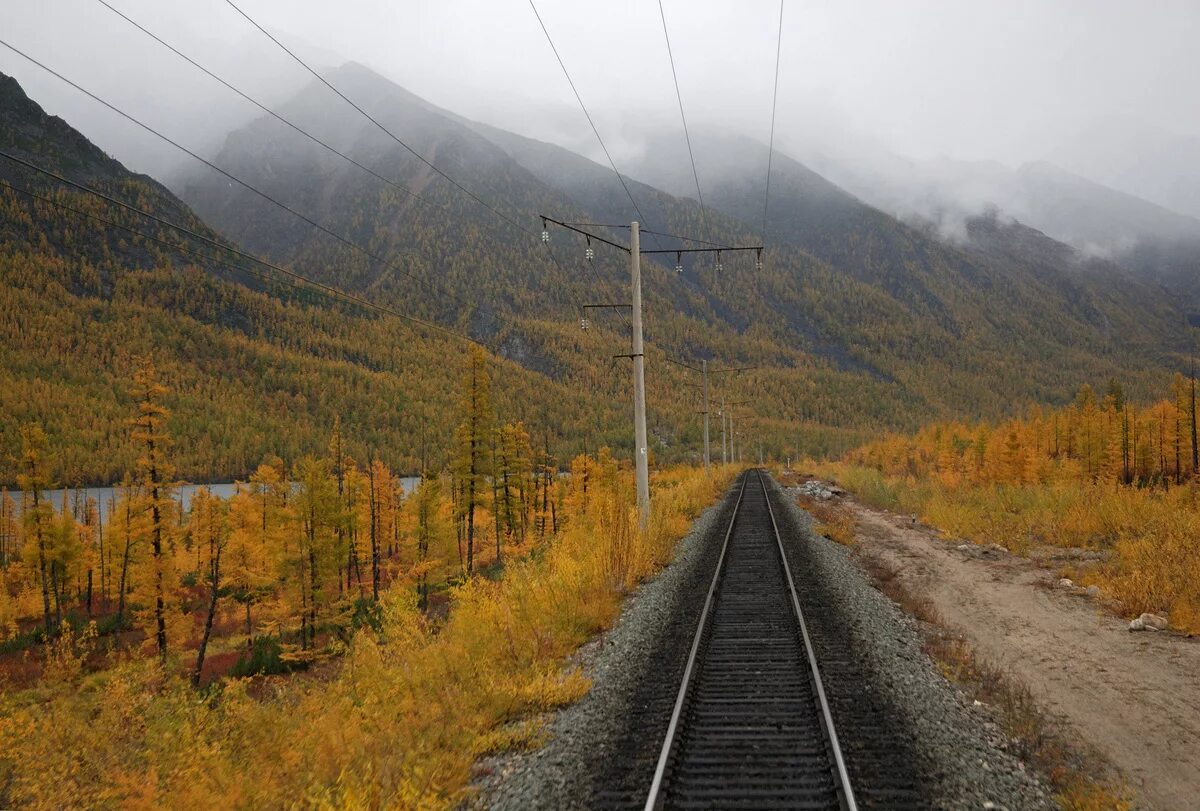 Железная дорога байкал бам. Самый самый бам. Чертов мост северомуйский. Бама амурская магистраль. Байкальсоко-амурская магистраль.