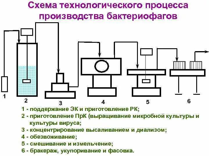 Схема получения результатов. Технологическая схема получения бактериофагов. технология производства бактериофагов. технологическая схема получения препаратов бактериофагов. технологическая схема биотехнологического производства.