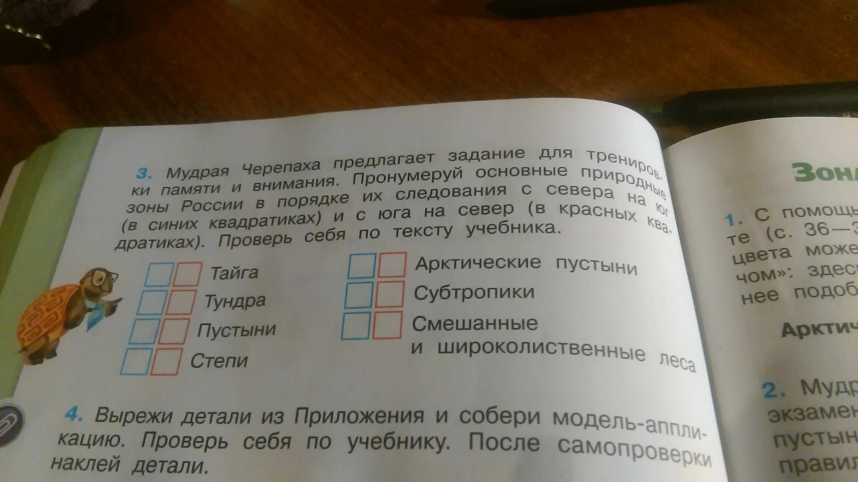 Мудрая черепаха предлагает тебе задание напиши. Мудрая черепаха предлагает задание. Мудрая черепаха предлагает задание для тренировки. Мудрая черепаха предла. Мудрая черепаха предлагает задание для тренировки памяти и внимания.