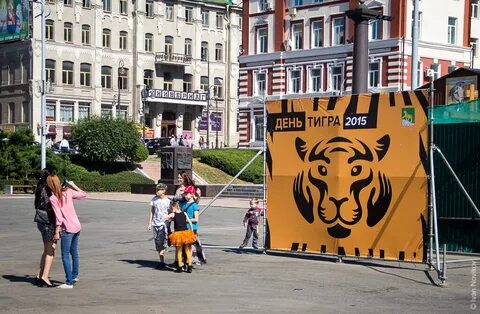 Владивосток 2015 год