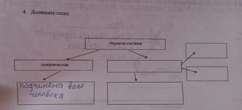Допиши схему примерами