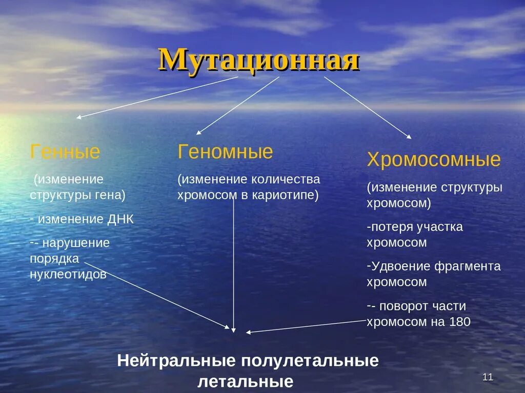 Изменение строения генов. Случайные изменения структуры Гена. Изменение структуры Гена лежит в основе. Возможные изменения в структуре Гена. Изменение структуры Гена внутри плода.