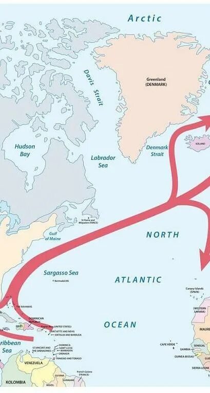 Прочитайте текст 2 гольфстрима. Гольфстрим на карте. Течение куро сиво по карте.