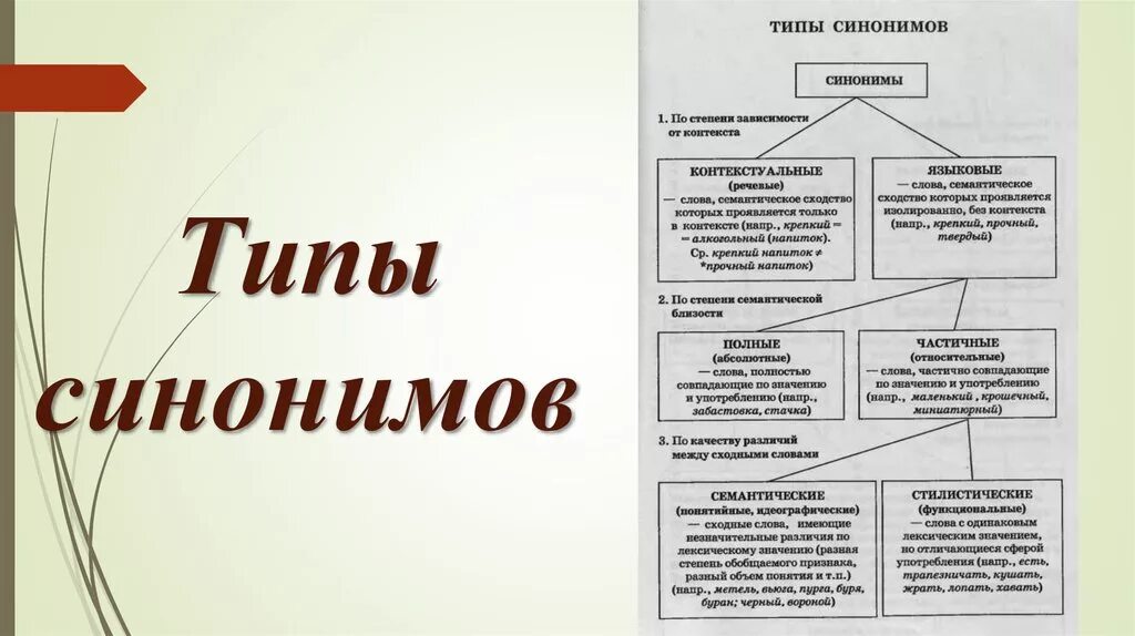 Контроль и определение направления это синонимы. Типы синонимов в русском языке. Назовите виды синонимов. Виды синонимов стилистические. Синонимы типы синонимов.