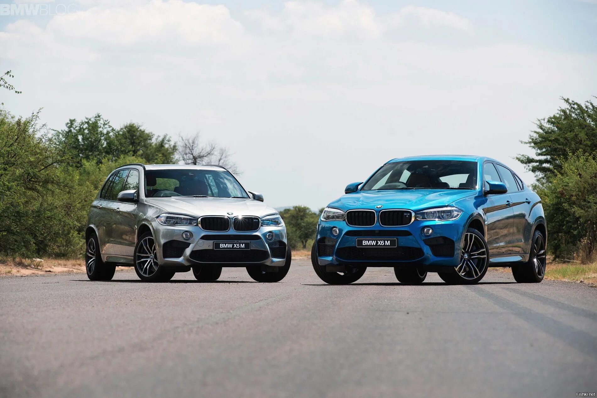 X 5 x 6 o