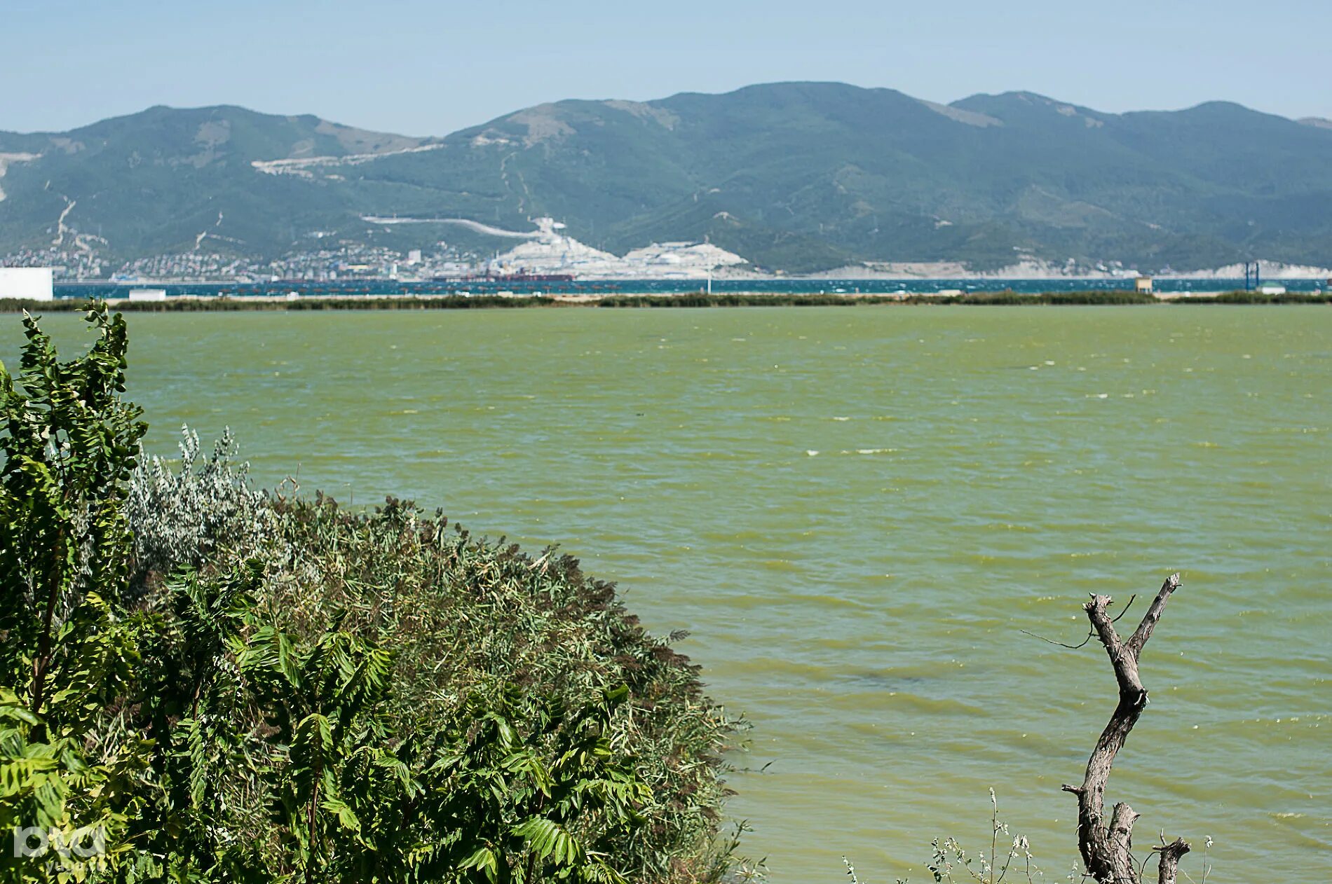 суджукская коса новороссийск. суджукская коса новороссийск. суджукская лагуна. суджукская лагуна. суджукская лагуна новороссийск.