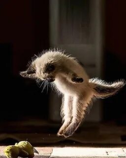 Солянка от slets7 за 01 сентября 2022 17:48 на Fishki.net