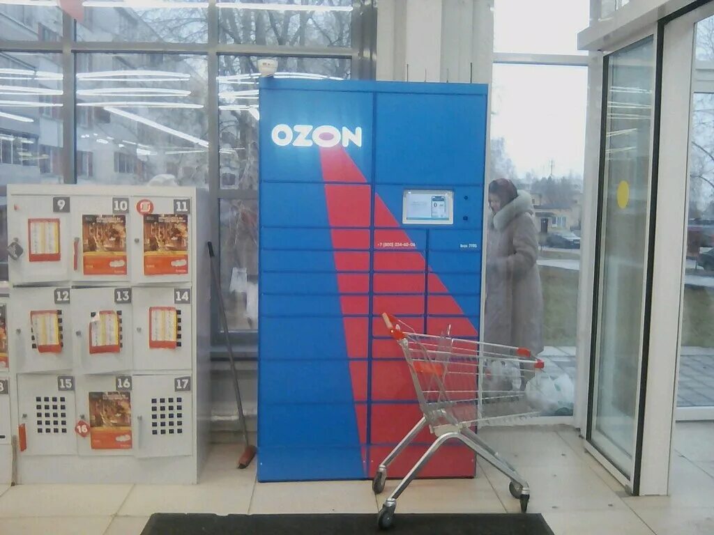 пункт выдачи озон саки. автозаводский 59а набережные челны. озон интернет-магазин набережные челны. вывеска пвз озон. озон челны адреса.