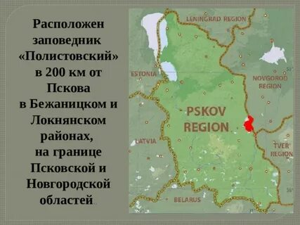 Граница новгорода