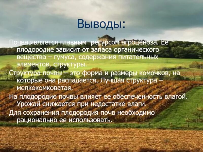 «от чего зависит урожай зерновых?» опыты на уроках окружающего. Поле сельское хозяйство. Радиация в сельском хозяйстве. Колосок пшеницы. Фазы развития озимой пшеницы.