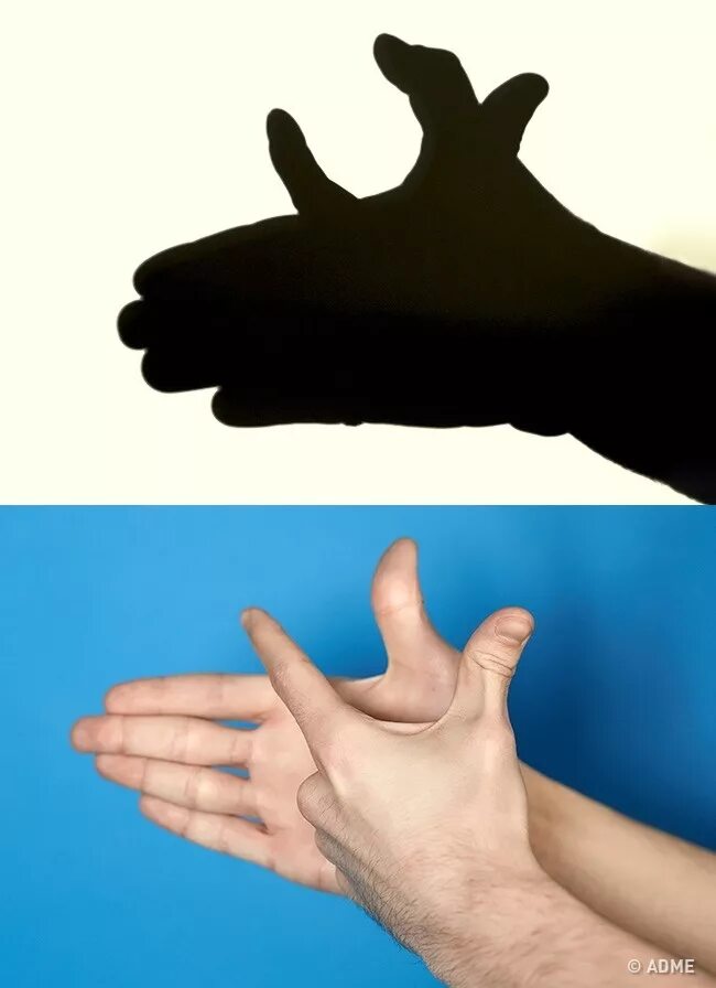 Тени руками. Театр теней руками фигуры. Проба теней на руке. Теневые фигуры. Как сделать тень светлее.