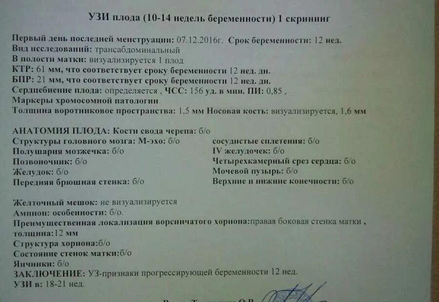 Диагноз 12 недель. Скрининг 1 триместра норма УЗИ 12 недель беременности. УЗИ на 12 неделе беременности скрининг нормы. Заключение УЗИ на 12 неделе беременности. Нормы УЗИ на 11-12 неделе беременности.