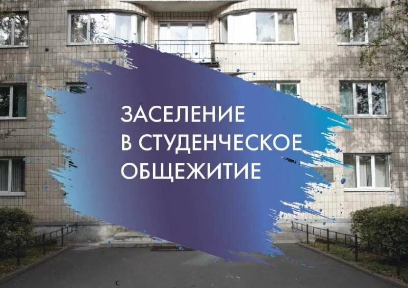 Заселение в общежитие. Студенческое общежитие заселение в общежитие. Заселение в общежитие ВШЭ. Петровский колледж общежитие 2022. Заселение в общежития 2022