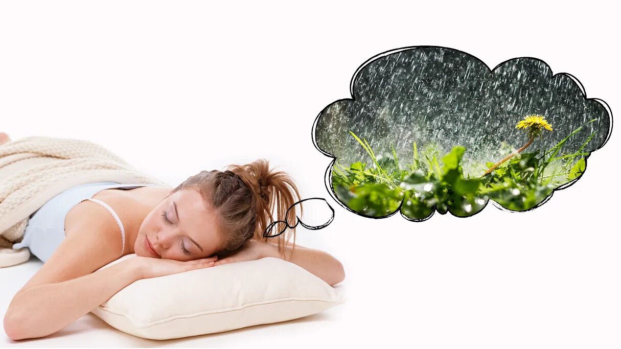 к чему снится теплый дождь. сон под дождь. к чему снится дождь во сне. спасение от дождя. дождь к чему снится девушке.