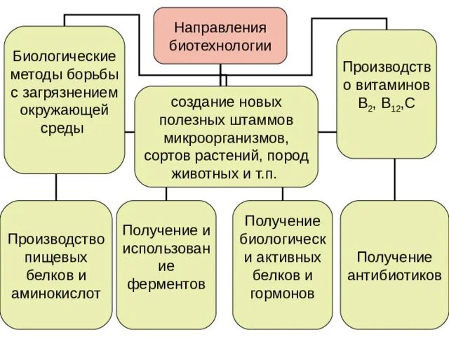Биотехнология в биологии основные направления. Пищевая биотехнология. Биоинженерия и биотехнология. Биотехнология подразумевает использование. Профили биотехнологии.
