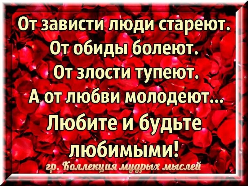 Песня люди завидуют. От зависти люди стареют. От зависти люди стареют от обиды. От зависти люди стареют от злости болеют. От зависти стареют от обиды болеют.