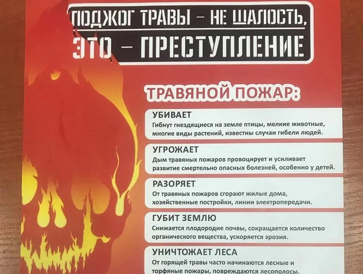 Штраф за поджог сухой травы. Поджог сухой травы. поджог травы памятка. поджог травы это преступление. памятка профилактика поджога травы.