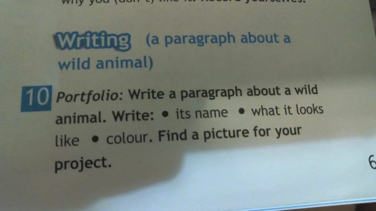 Write a paragraph about an animal. Write a paragraph about a wild animal. paragraph перевод. write a paragraph about a wild animal 5 класс. portfolio write a paragraph about a wild animal write its name what it looks like colour медведь.