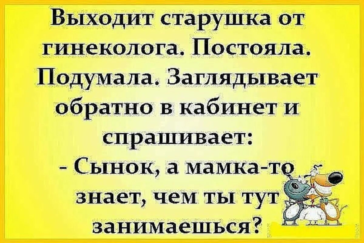 Смешные лучшие шутки