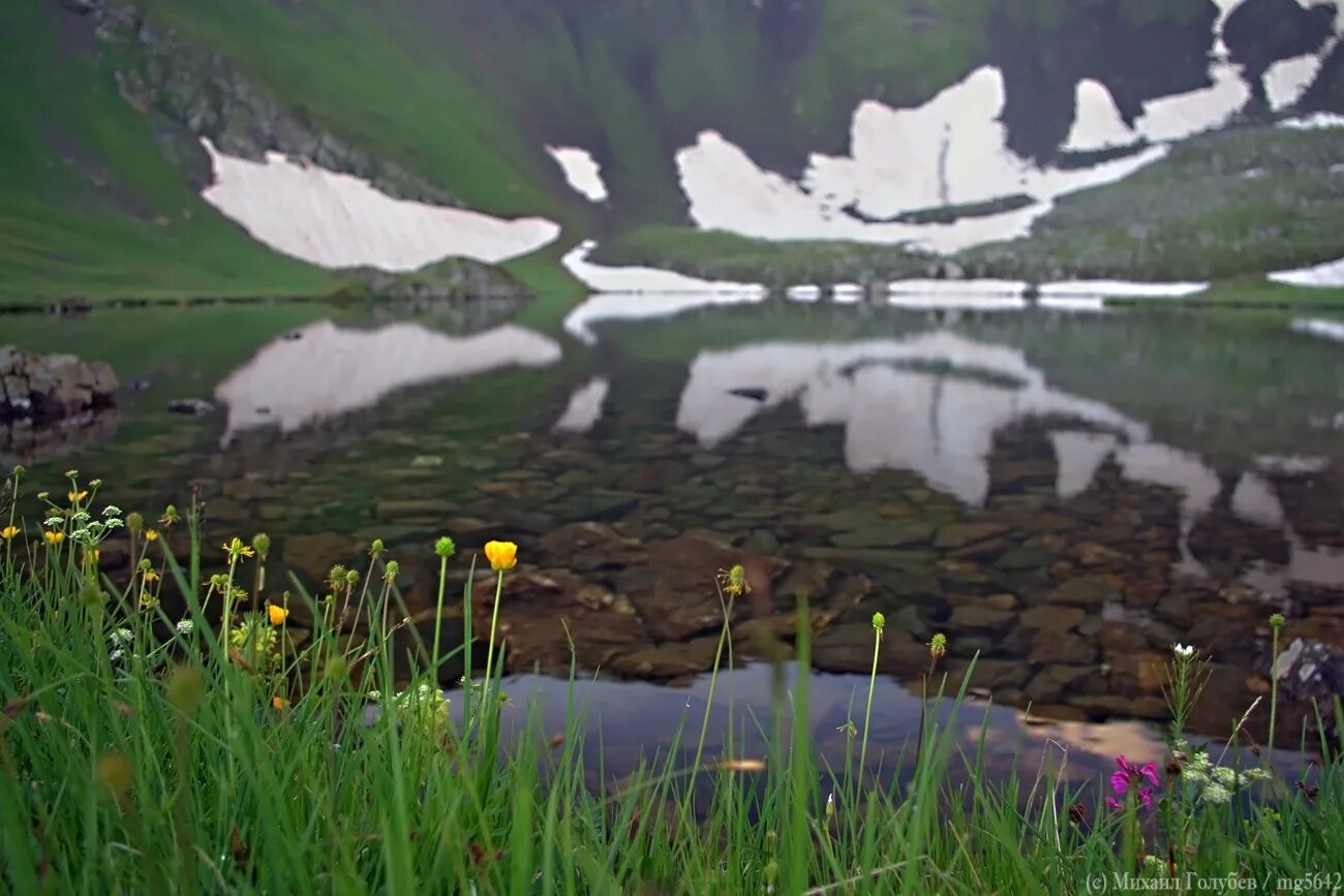 архыз домбай эльбрус горы цветы. карачаево-черкесия архыз. софийская гора архыз. архыз весной. архыз домбай эльбрус горы цветы.