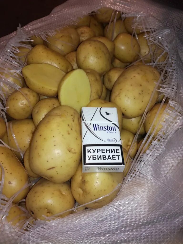 Характеристики сорта коломбо. Сорт картошки коломбо. коломбо сорт картофеля характеристика. картофель коломбо описание сорта. картошка желтая коломбо.