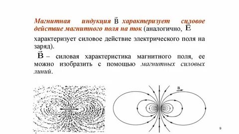 Магнитная силовая