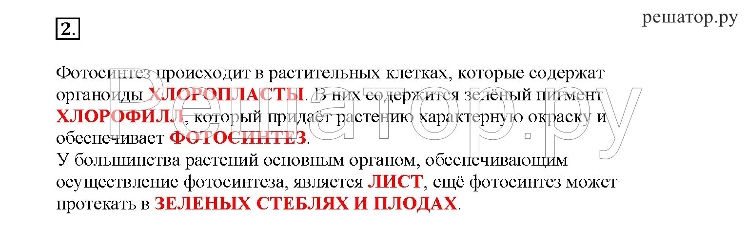 16 параграф пасечник биология 6 класс учебник. Параграф 16 биология 6 класс Пасечник. Рабочая тетрадь Пасечник фотосинтез. Фотосинтез 6 класс биология Пасечник конспект. Таблица по теме фотосинтез 6 класс Пасечник.