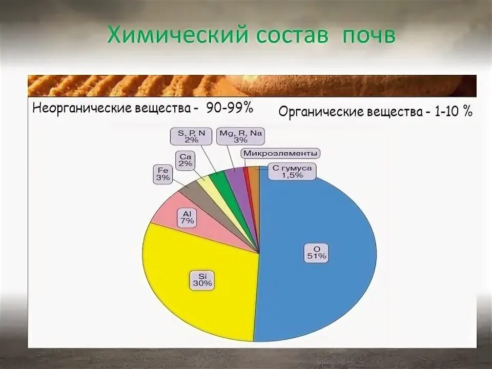 Особенности химического состава почв Восточно европейской равнины. Химический состав почв Восточно европейской равнины. Механический состав почвы Восточно европейской. Механический состав почв Восточно европейской равнины. Механический состав почвы восточно европейской равнины