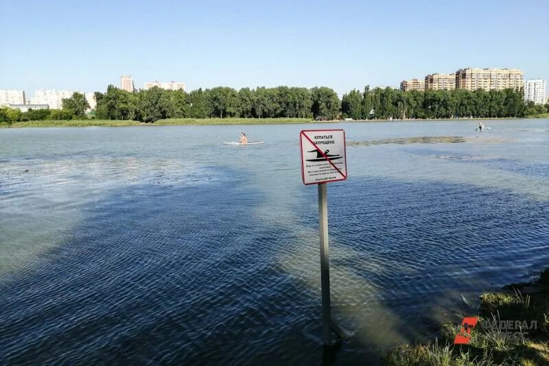 Почему нельзя купаться в озерах. Верхнее Суздальское озеро. Место для купания. Водохранилище Краснодар. Купаться в озере.