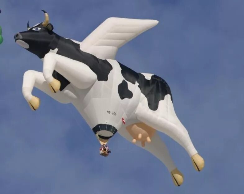 Летающий гони. Летать. Летающая корова. Корова с крыльями. Корова летит.