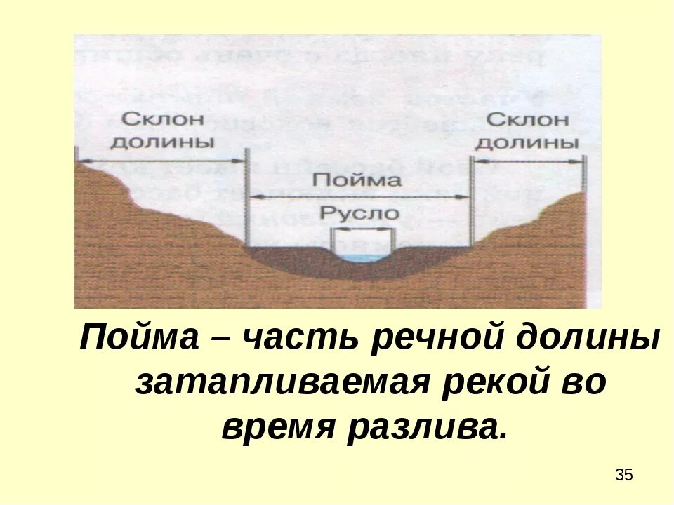 Пойма это простыми словами