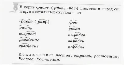 Стояла корень слова и проверочное