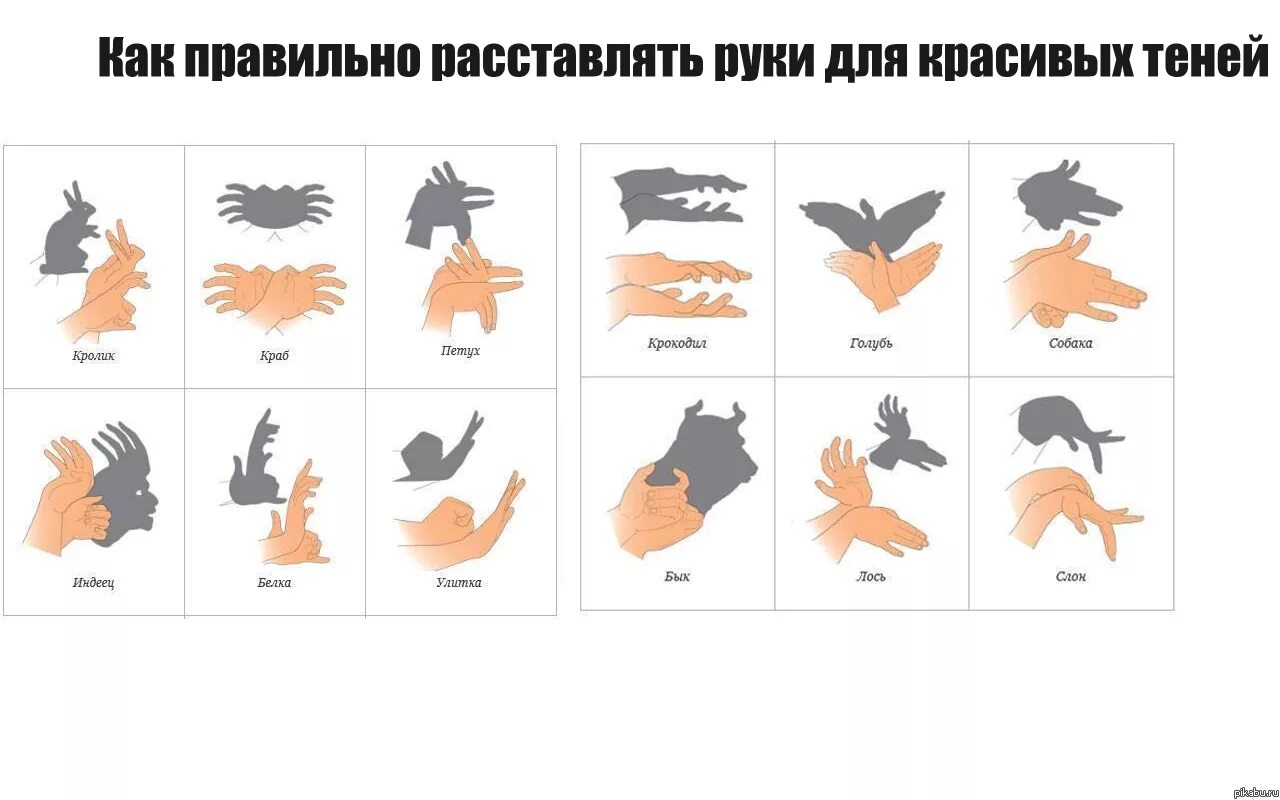 театр теней руками для детей. фигурки теней из рук. как правильно сделать тень. театр теней руками фигуры для детей. театр теней.