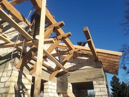 Кобылки на крыше