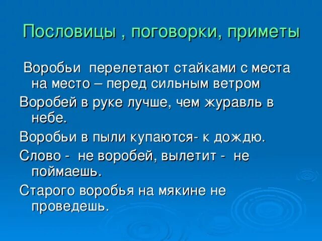 Пословицы j ghbvthf[. Приметы и поговорки. Приметы пословицы поговорки. Пословицы про воробья. Рука пословицы и поговорки