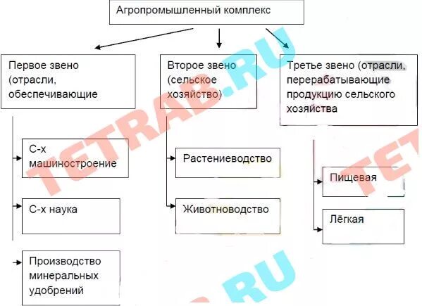 Агропромышленный европейского Юга агропромышленный комплекс. Агропромышленный комплекс европейского Юга таблица. Схема агропромышленного комплекса европейского Юга. АПК европейского Юга таблица.