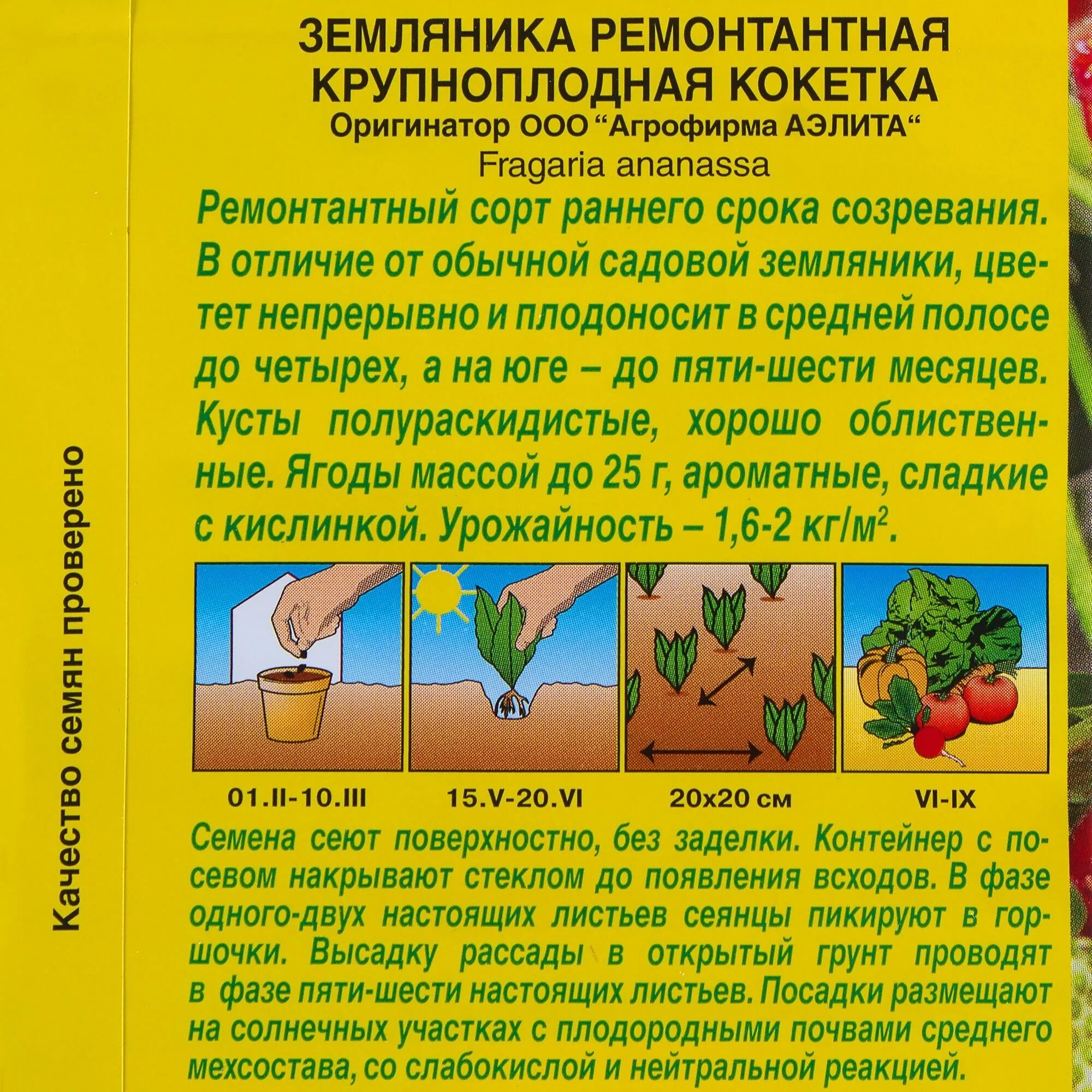 Земляника любаша отзывы