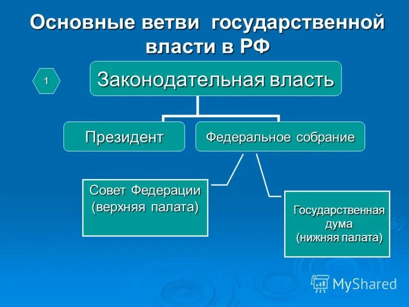 3 ветви власти полномочия. Три основные ветви власти. Основные ветви власти в Российской Федерации.. Ветви ВЛС. 3 Ветви власти в РФ.