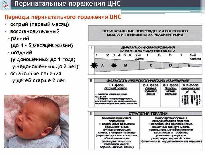 Перинатальные поражения мозга. Синдромы восстановительного периода перинатального поражения ЦНС. Синдром восстановительного периода перинатального поражения. Перинатальные поражения нервной системы у новорожденных. Перинатальное поражение ЦНС У новорожденных.