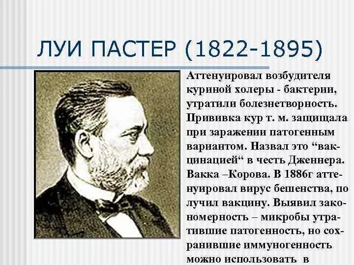 Луи Пастер (1822-1895). Луи Пастер холера. Луи Пастер изобрел вакцину. Луи пастер вакцина