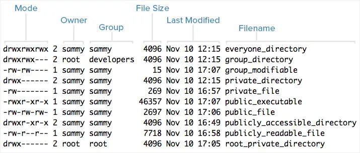 Directory permission linux. Ls -l linux. linux file permissions. ls -l linux команда. linux permission directory.