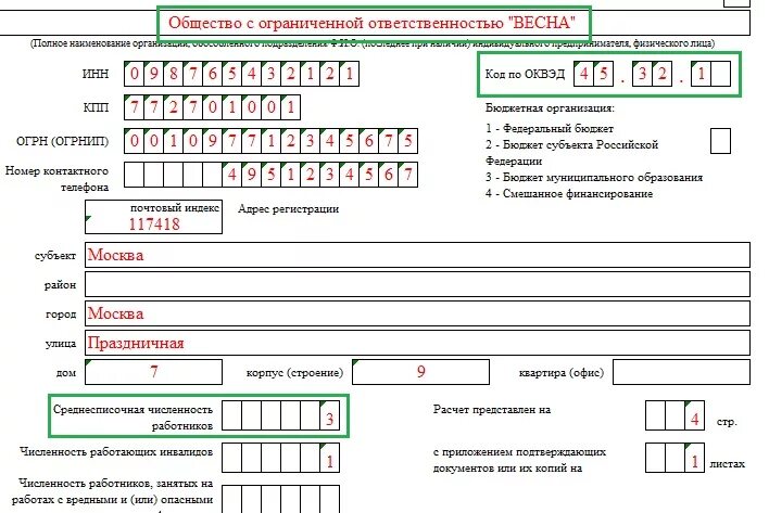 Титульный лист формы формы 4-ФСС. 109 Форма ФСС. Справка формы 4 ФСС. 4 ФСС титульный лист.