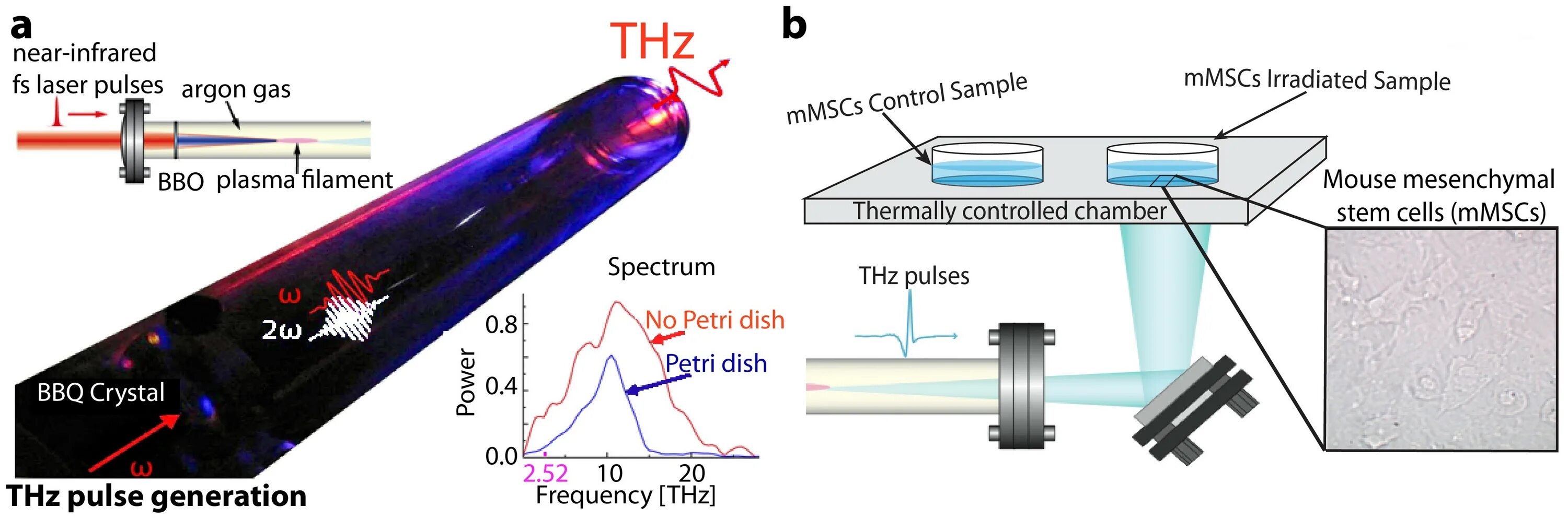Ultrafast pulsed lasers. Pulsed heating. Pulsed heating. Массажёр intelligent cervical massager. Pulsed heating.