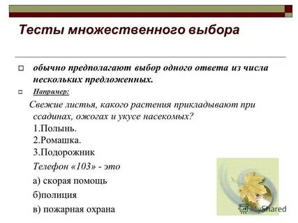 Тест множественный выбор